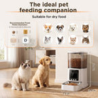 Smart Automatic Pet Feeder with 1080P Camera | App Control & Two-Way Audio