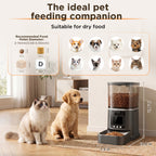 Smart Automatic Pet Feeder with 1080P Camera | App Control & Two-Way Audio