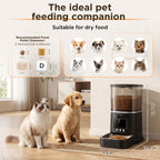 Automatic pet feeder suitable for cats and small dogs