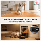 Smart automatic pet feeder with HD live video monitoring