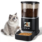 Smart pet feeder for cats with video call and automatic feeding